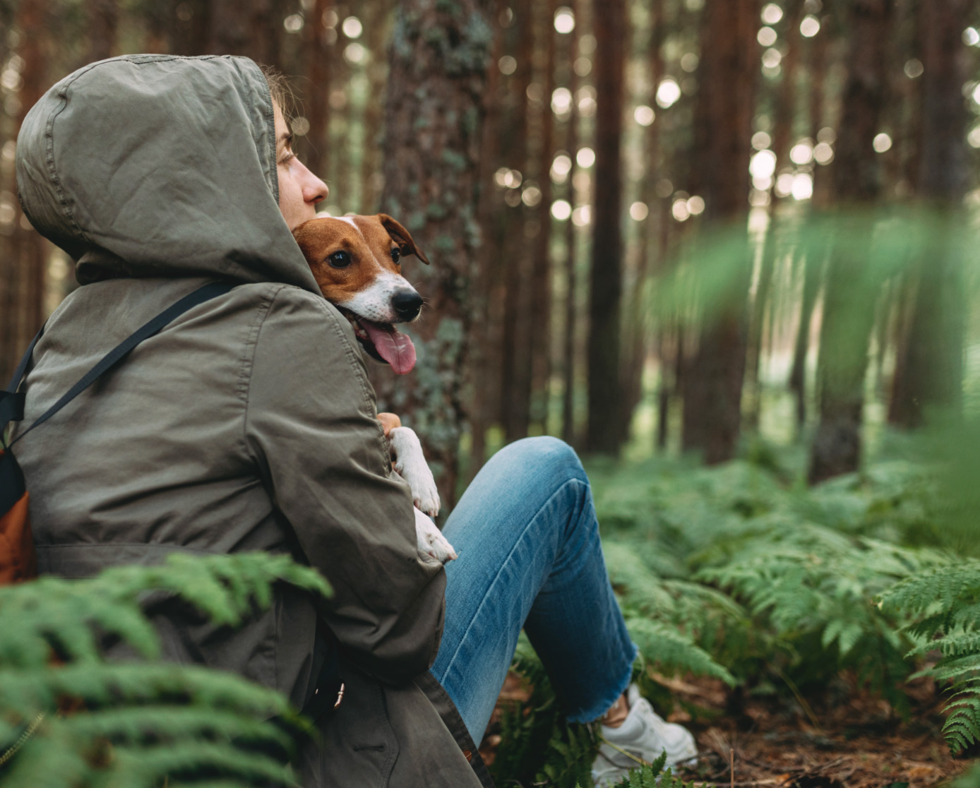 Curlypets-Frau-Wald-Hund